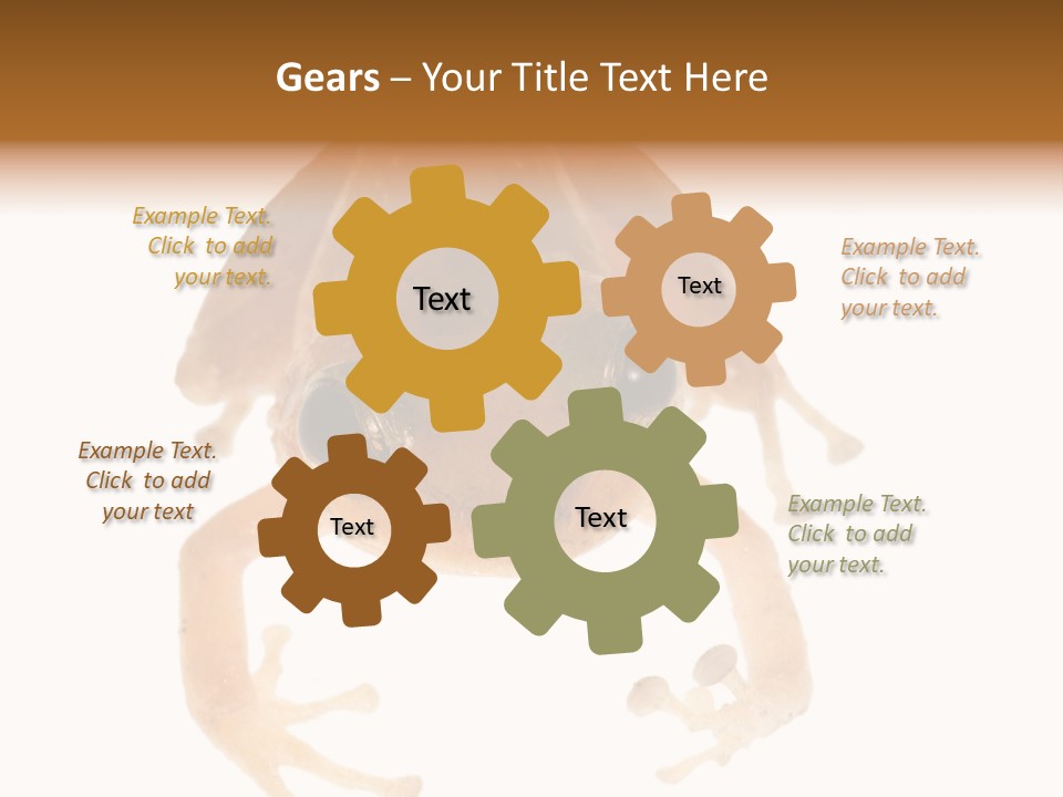 Russian Animal Sheet PowerPoint Template