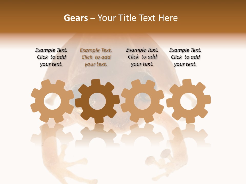 Russian Animal Sheet PowerPoint Template