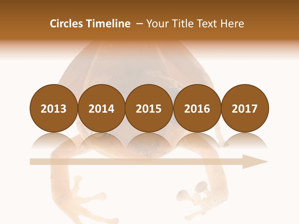 Russian Animal Sheet PowerPoint Template