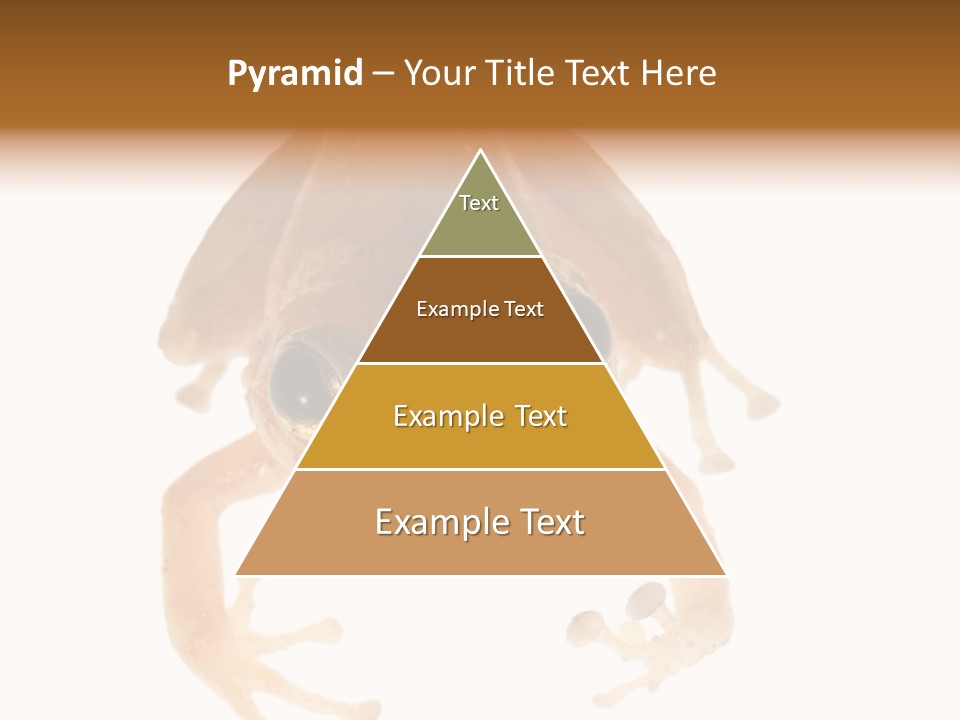 Russian Animal Sheet PowerPoint Template