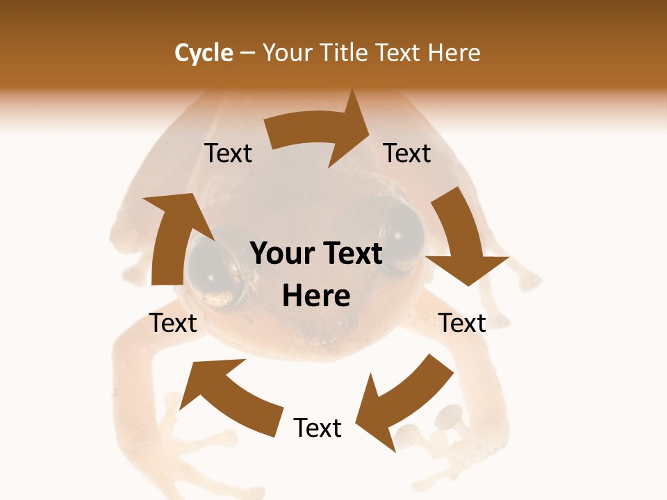 Russian Animal Sheet PowerPoint Template