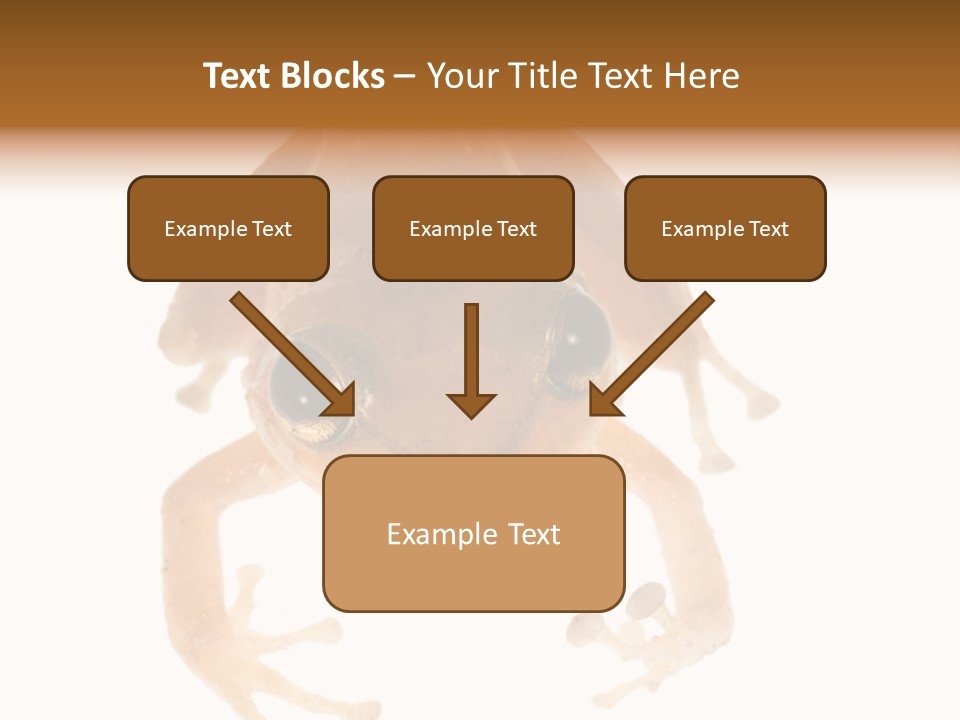Russian Animal Sheet PowerPoint Template
