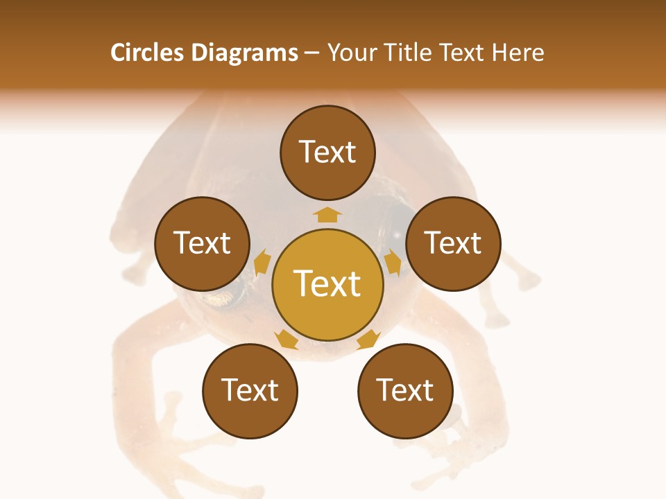 Russian Animal Sheet PowerPoint Template