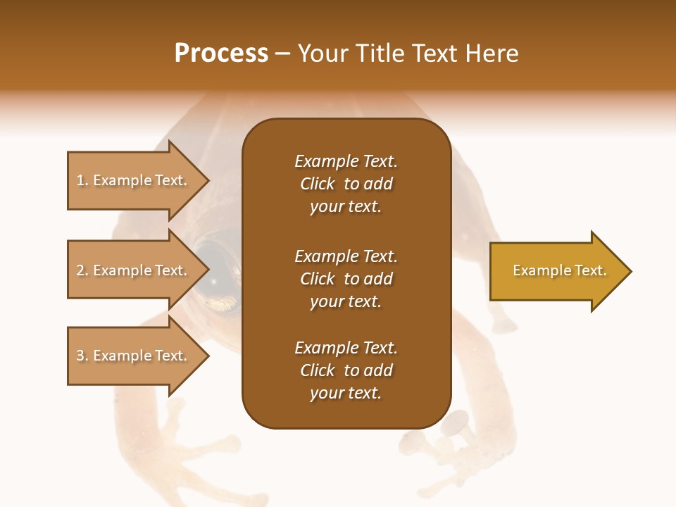 Russian Animal Sheet PowerPoint Template
