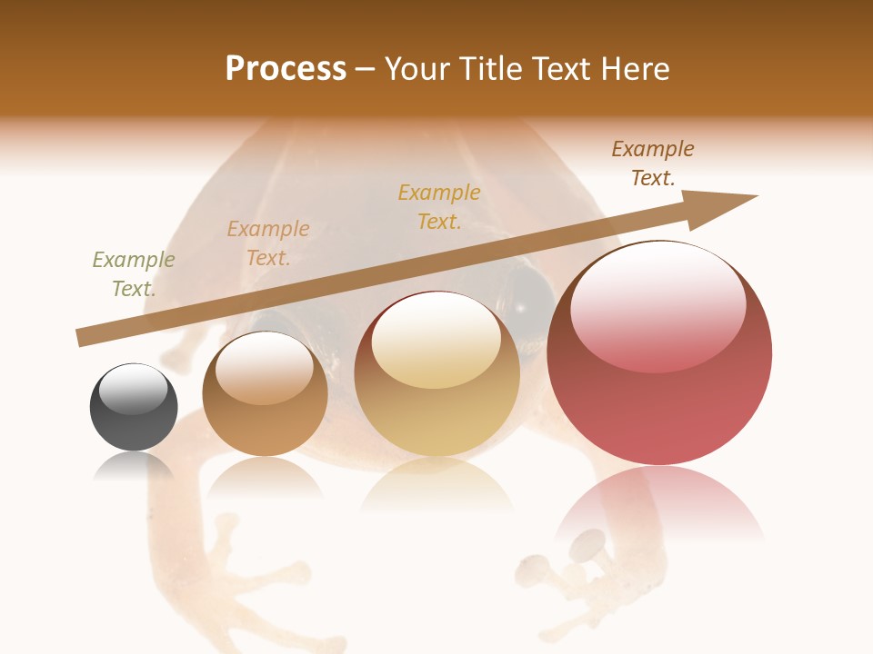 Russian Animal Sheet PowerPoint Template