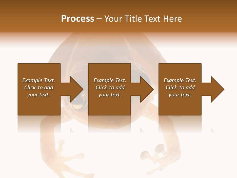 Russian Animal Sheet PowerPoint Template