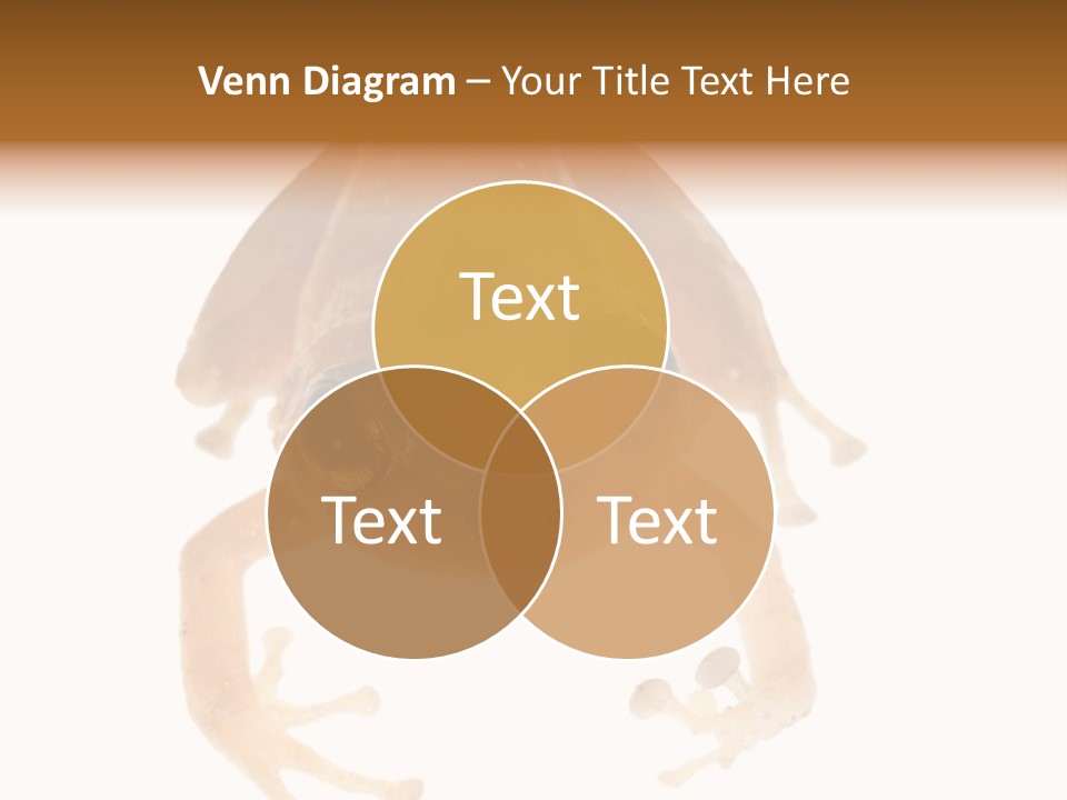 Russian Animal Sheet PowerPoint Template