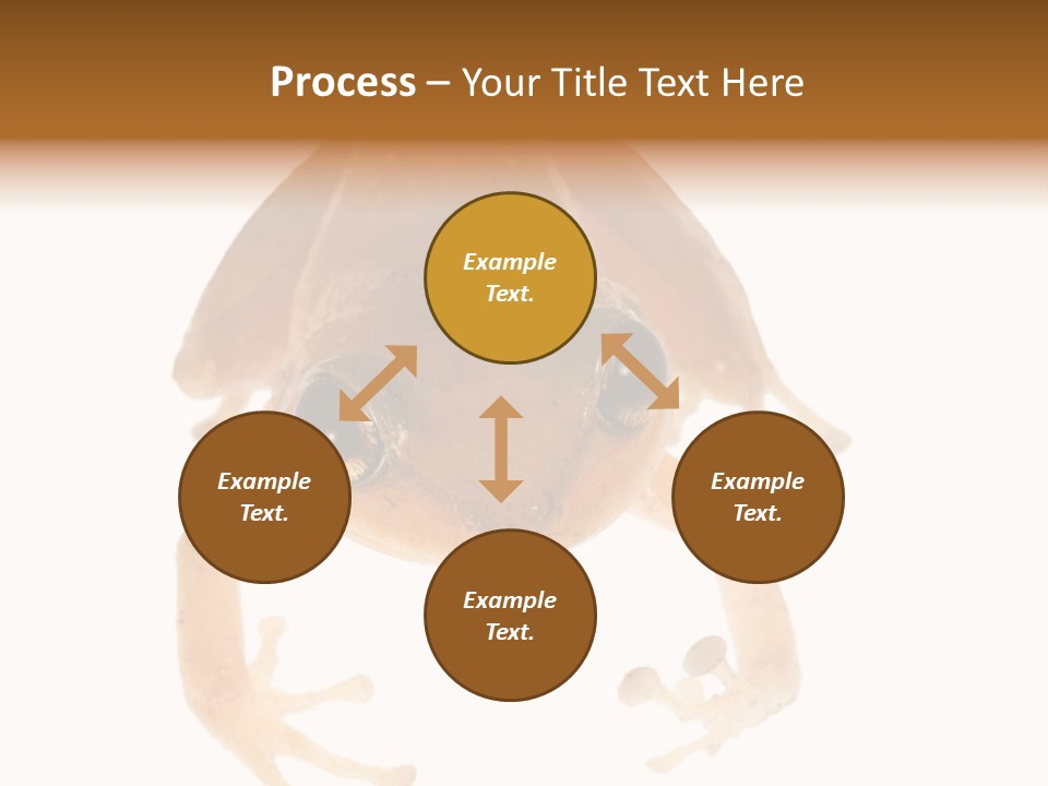 Russian Animal Sheet PowerPoint Template