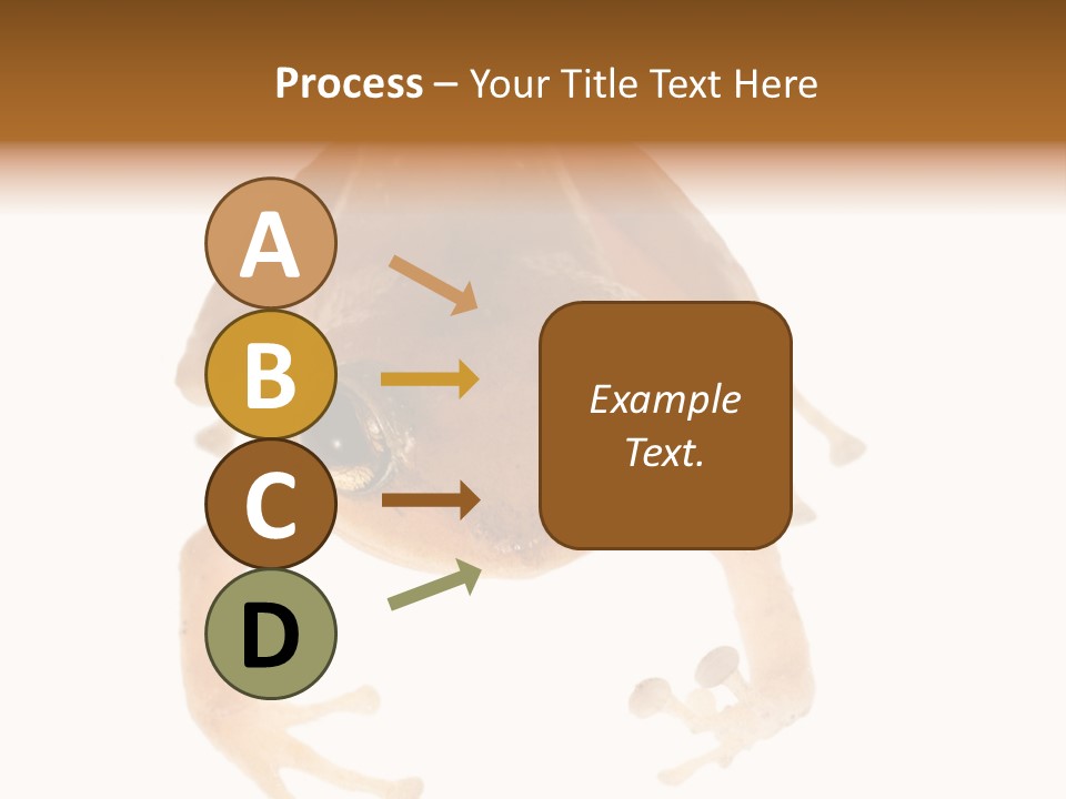 Russian Animal Sheet PowerPoint Template