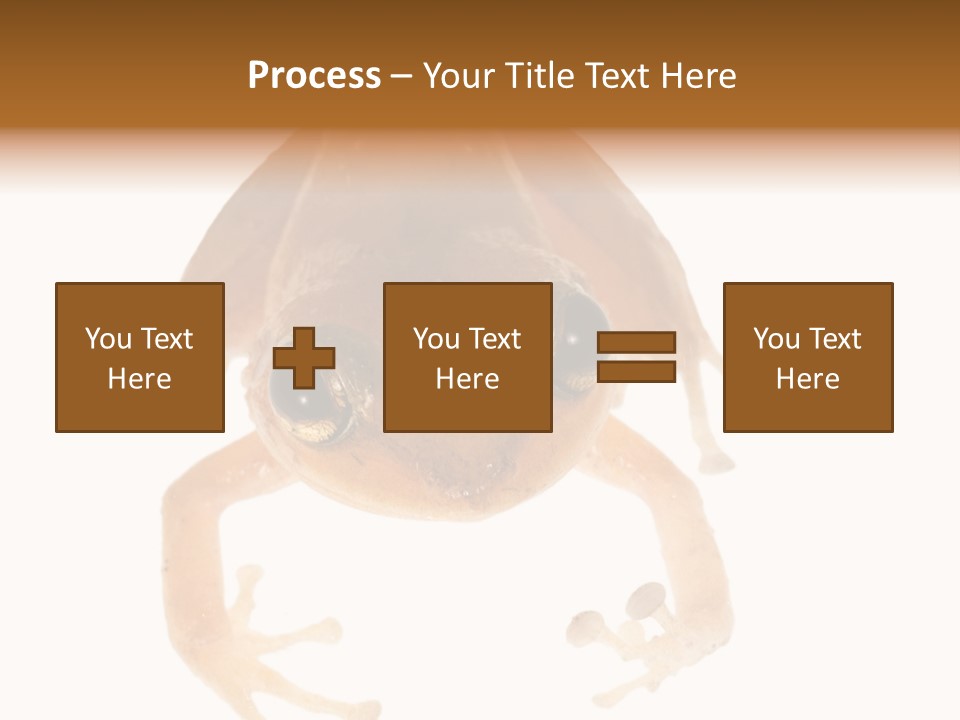 Russian Animal Sheet PowerPoint Template