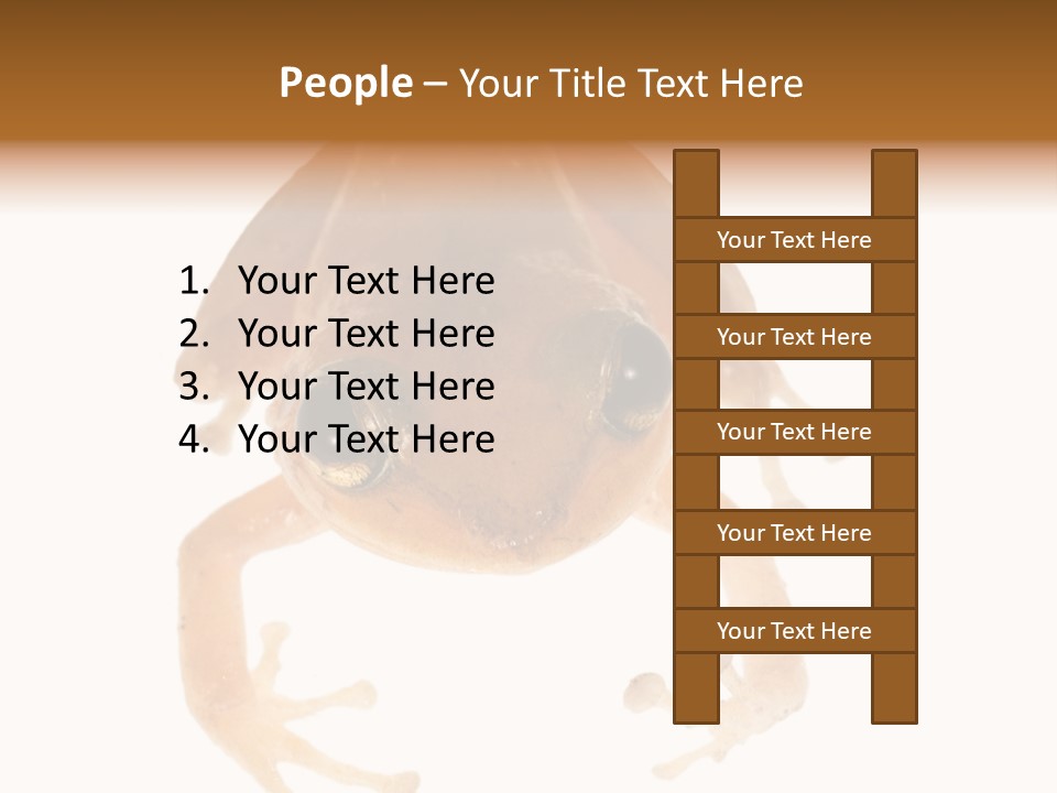 Russian Animal Sheet PowerPoint Template