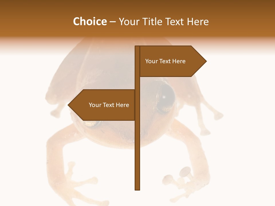 Russian Animal Sheet PowerPoint Template
