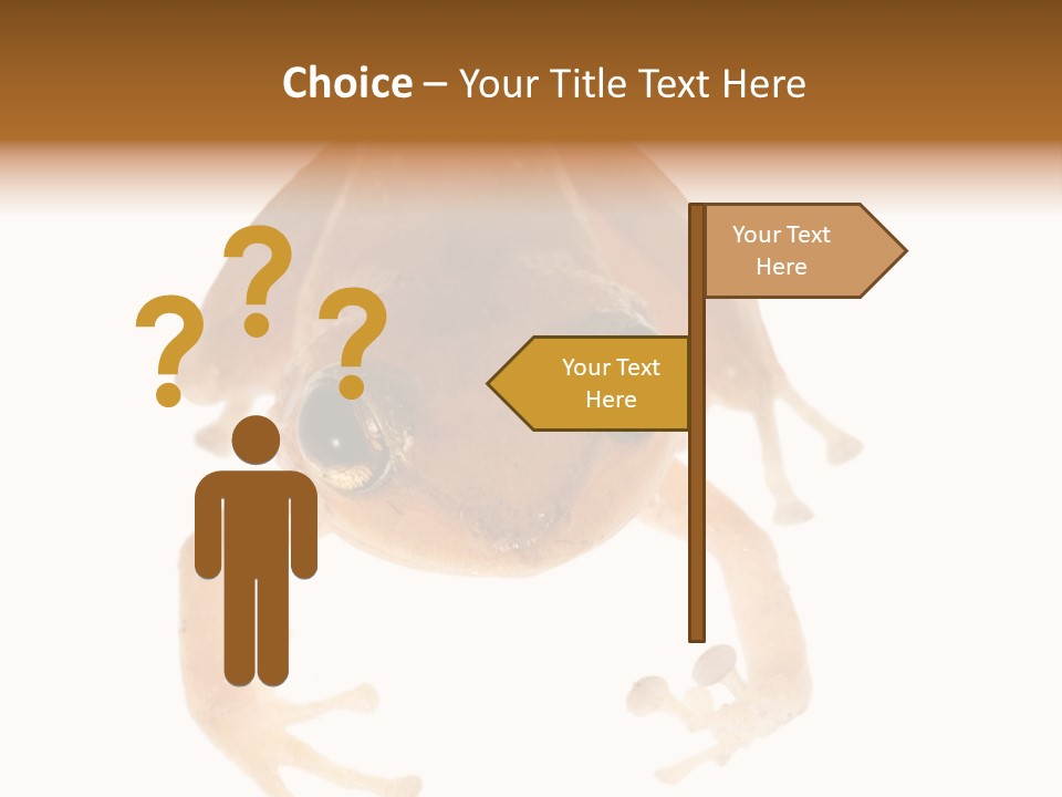 Russian Animal Sheet PowerPoint Template