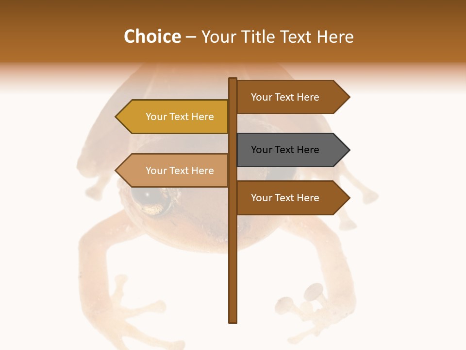 Russian Animal Sheet PowerPoint Template