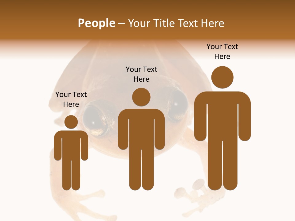 Russian Animal Sheet PowerPoint Template