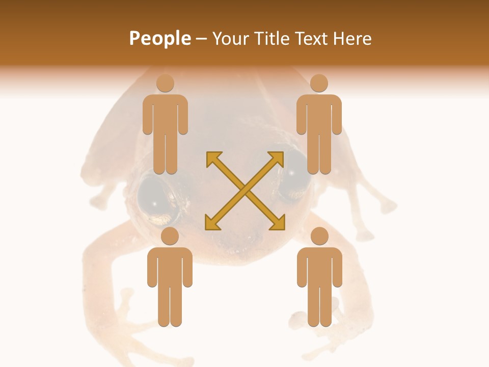 Russian Animal Sheet PowerPoint Template