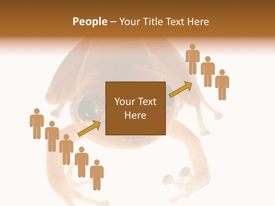 Russian Animal Sheet PowerPoint Template