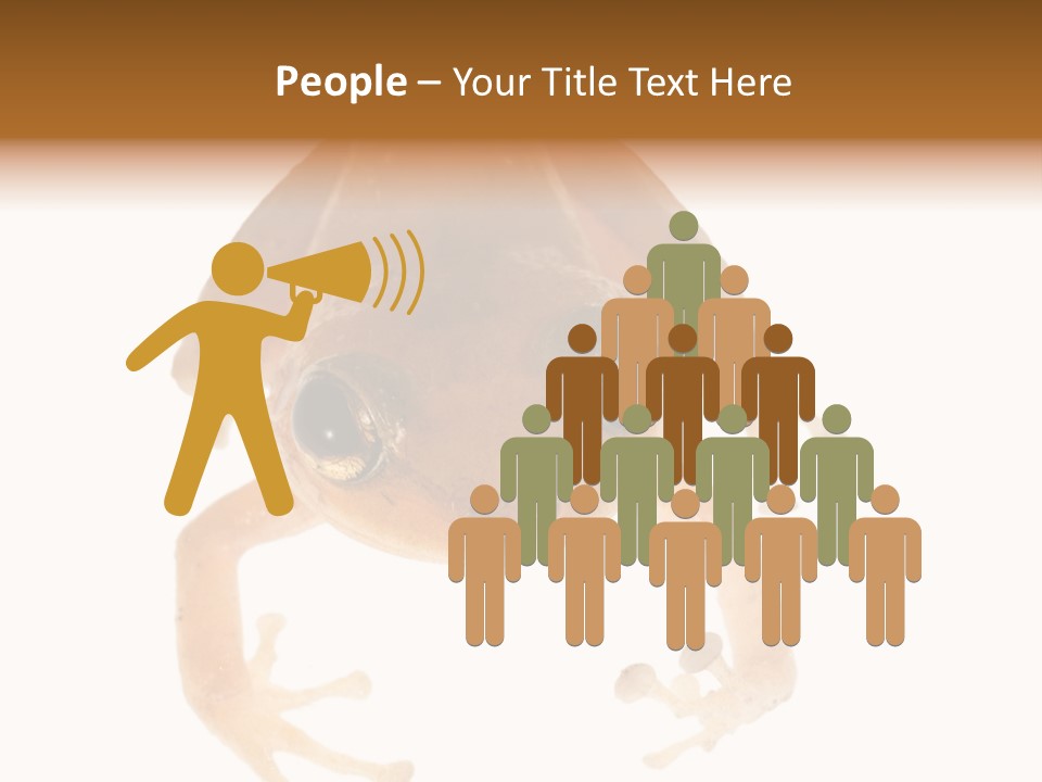 Russian Animal Sheet PowerPoint Template