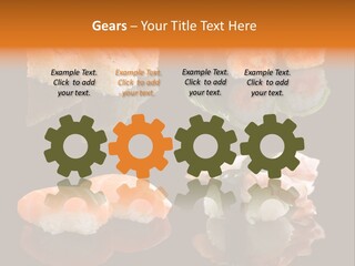 Tuna Set Gourmet PowerPoint Template