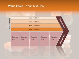 Tuna Set Gourmet PowerPoint Template