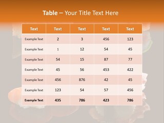 Tuna Set Gourmet PowerPoint Template