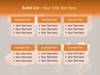 Tuna Set Gourmet PowerPoint Template