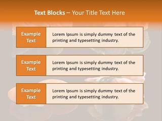 Tuna Set Gourmet PowerPoint Template