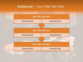 Tuna Set Gourmet PowerPoint Template