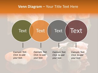 Tuna Set Gourmet PowerPoint Template