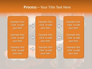 Tuna Set Gourmet PowerPoint Template