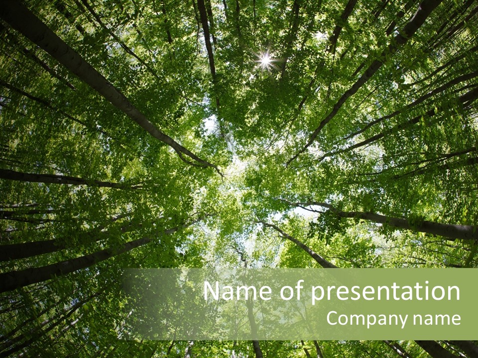 Natural Lake Tree PowerPoint Template