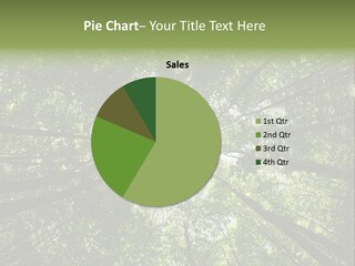 Natural Lake Tree PowerPoint Template