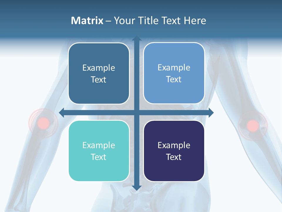 Hip Anatomy Medicine PowerPoint Template