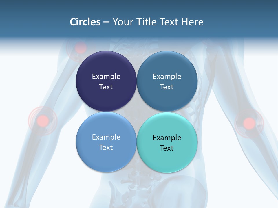 Hip Anatomy Medicine PowerPoint Template