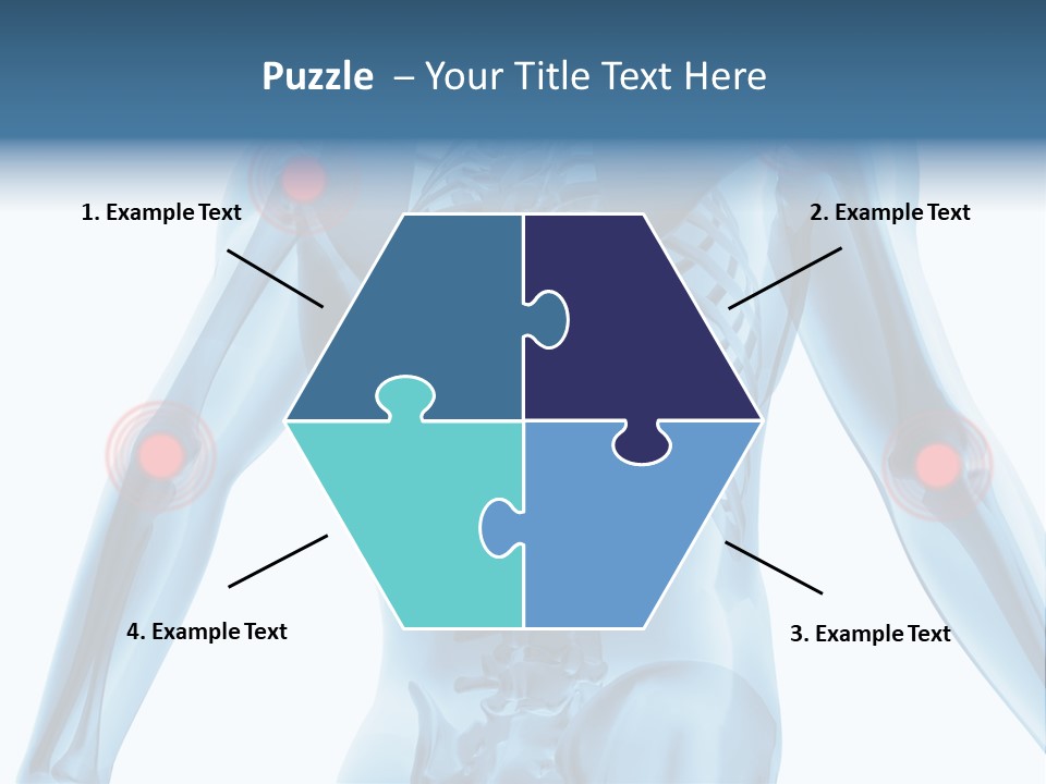 Hip Anatomy Medicine PowerPoint Template