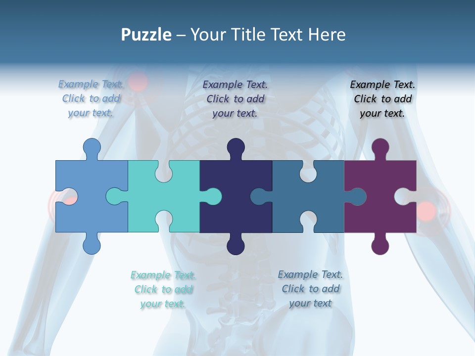 Hip Anatomy Medicine PowerPoint Template