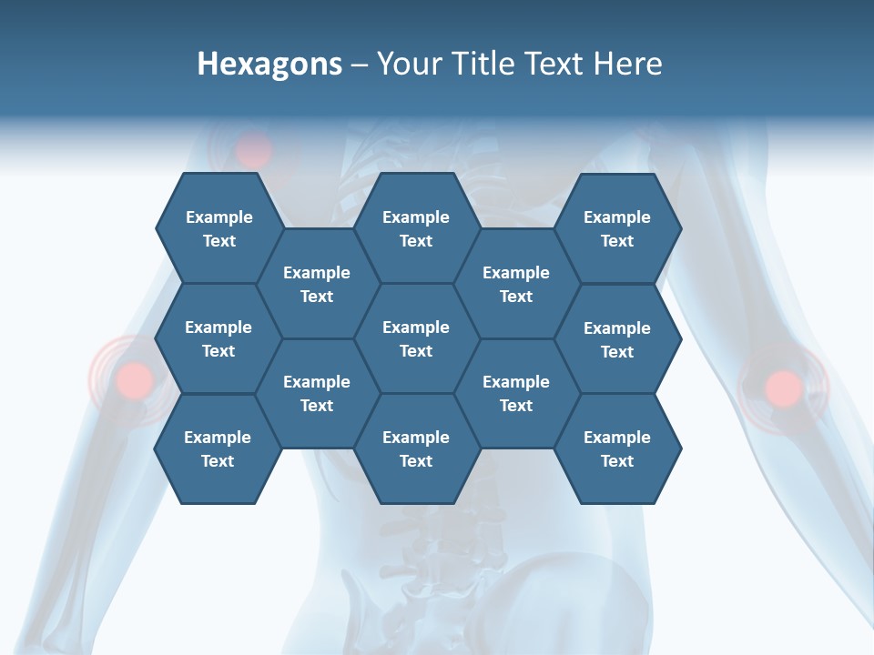 Hip Anatomy Medicine PowerPoint Template