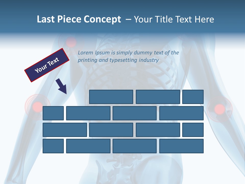 Hip Anatomy Medicine PowerPoint Template