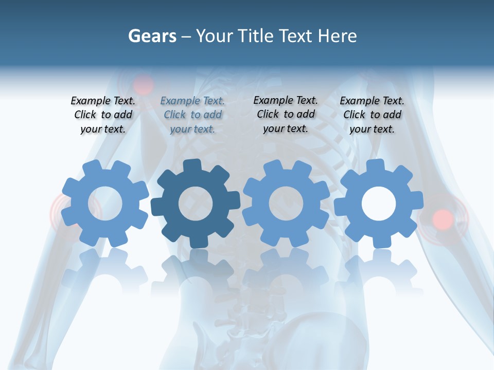 Hip Anatomy Medicine PowerPoint Template