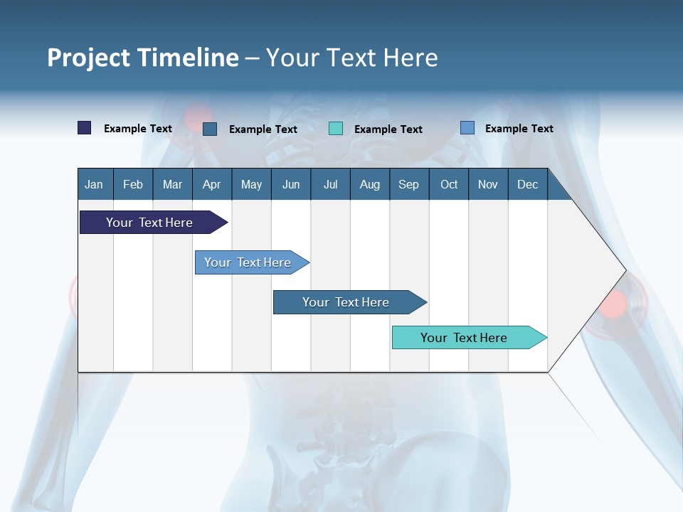 Hip Anatomy Medicine PowerPoint Template