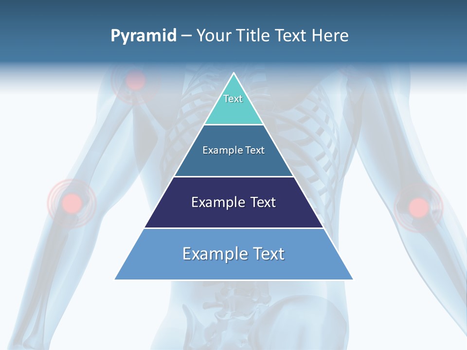 Hip Anatomy Medicine PowerPoint Template
