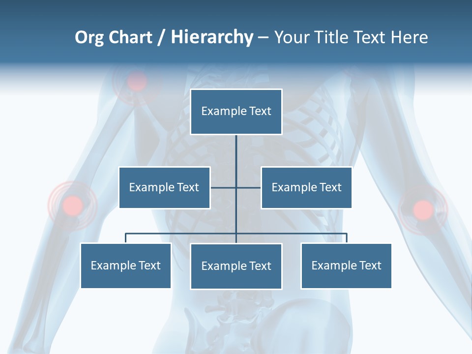 Hip Anatomy Medicine PowerPoint Template