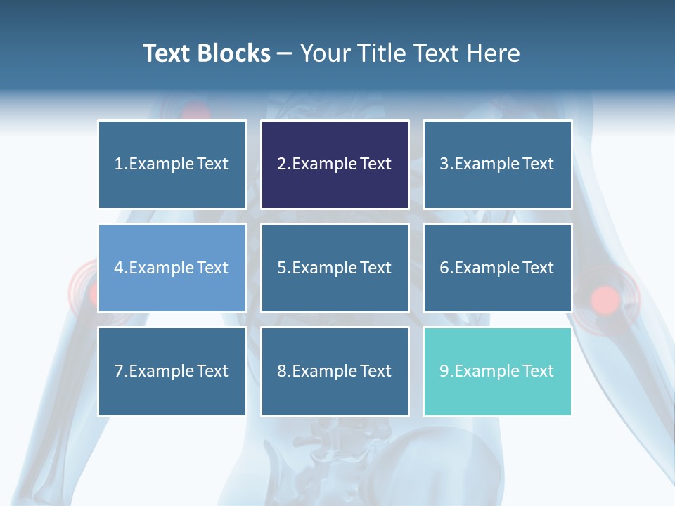 Hip Anatomy Medicine PowerPoint Template