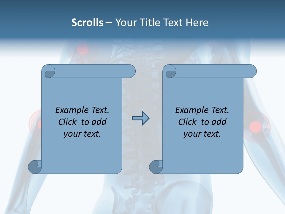 Hip Anatomy Medicine PowerPoint Template