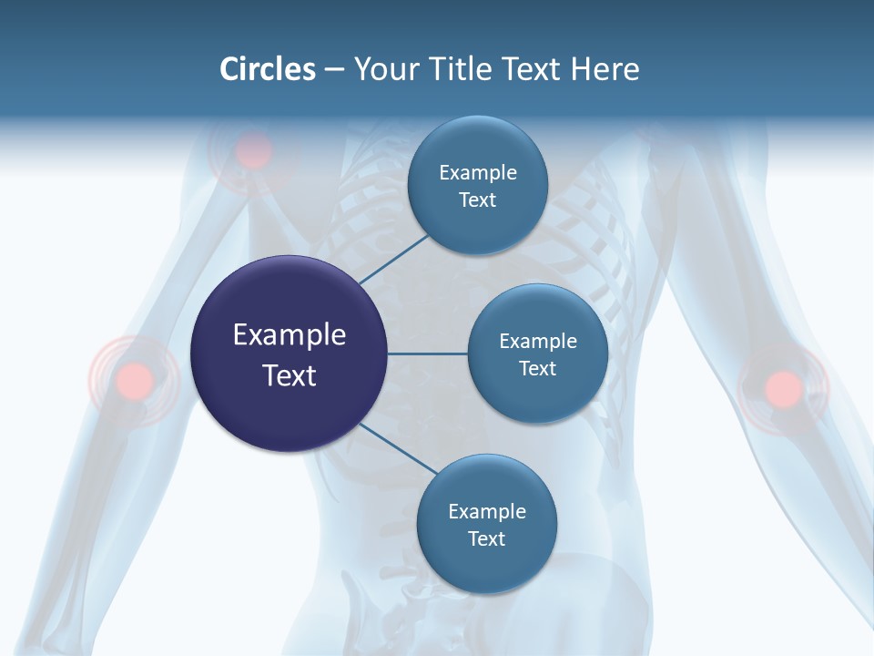 Hip Anatomy Medicine PowerPoint Template