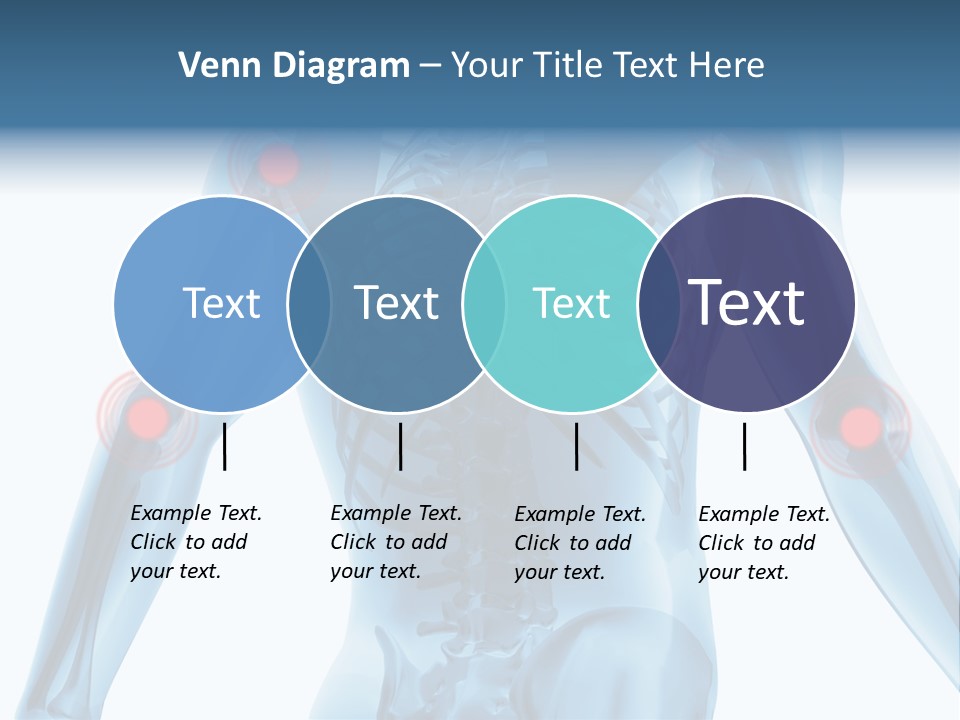 Hip Anatomy Medicine PowerPoint Template