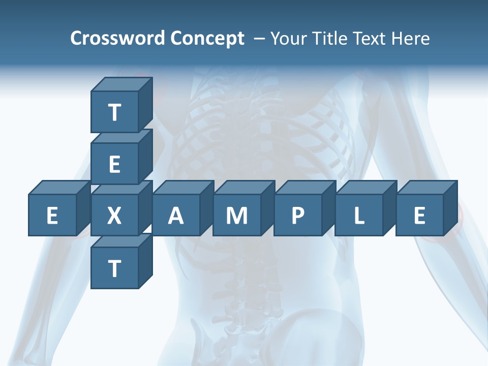 Hip Anatomy Medicine PowerPoint Template