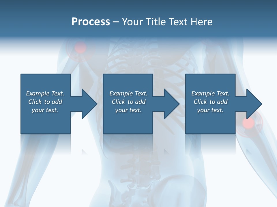 Hip Anatomy Medicine PowerPoint Template