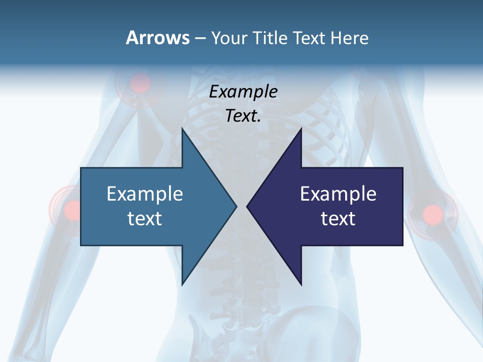 Hip Anatomy Medicine PowerPoint Template