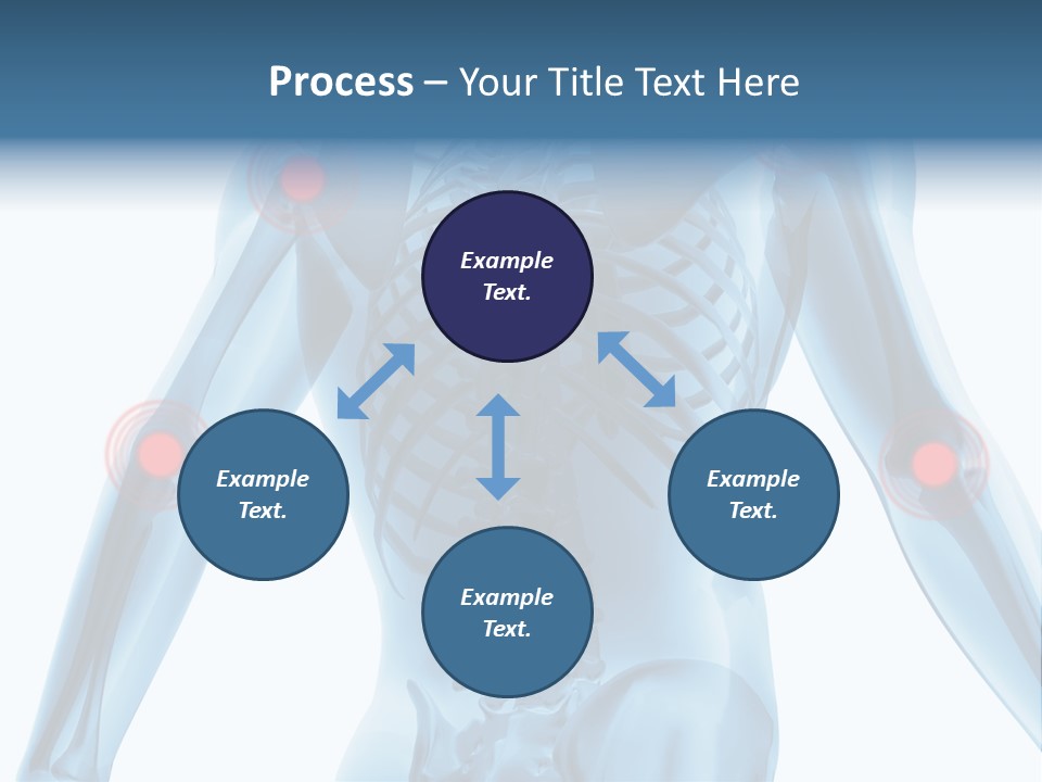 Hip Anatomy Medicine PowerPoint Template